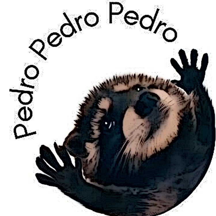 Cover art for Pedro (Trigex Uptempo Remix)